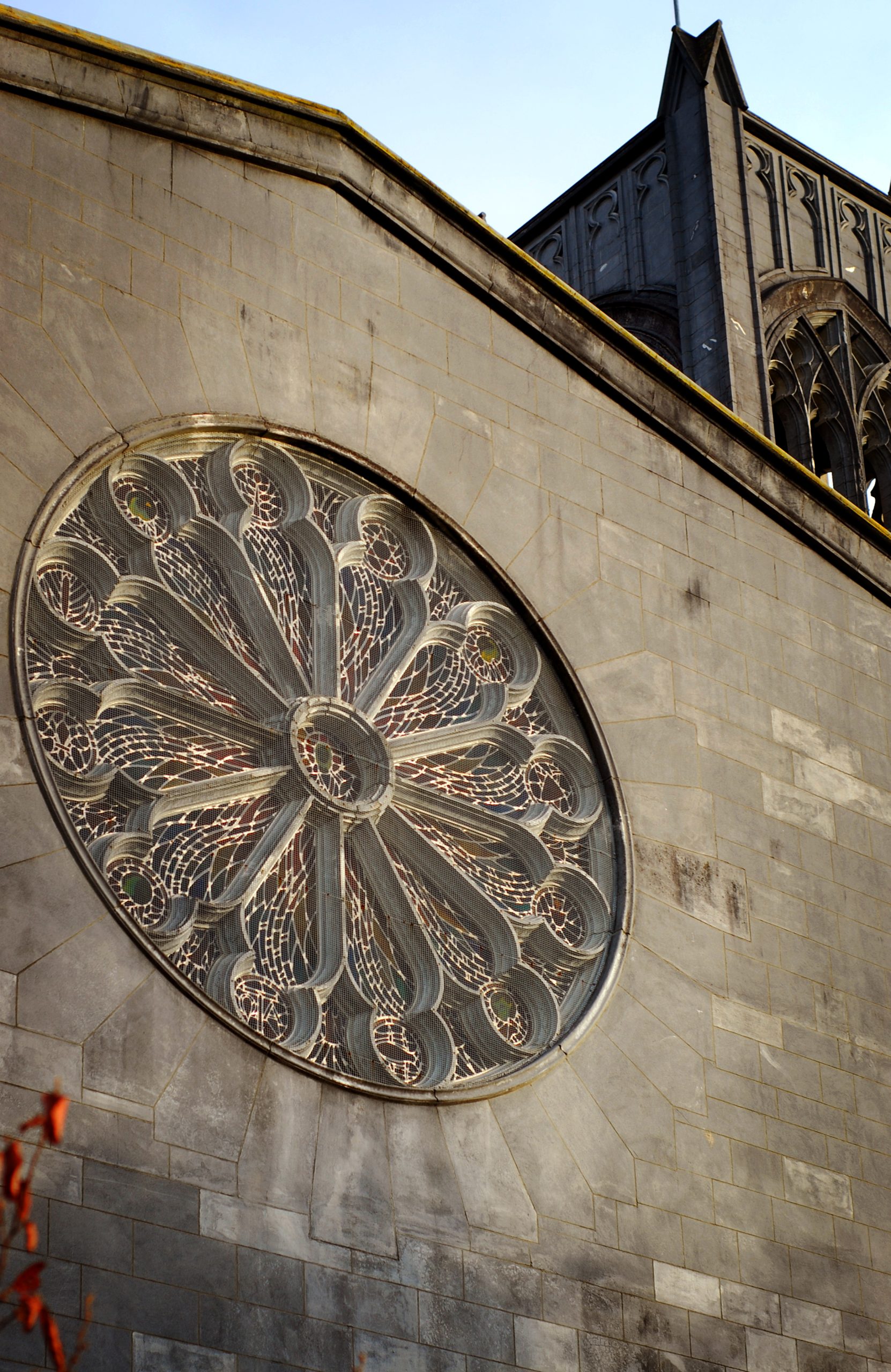 Nelson Cathedral