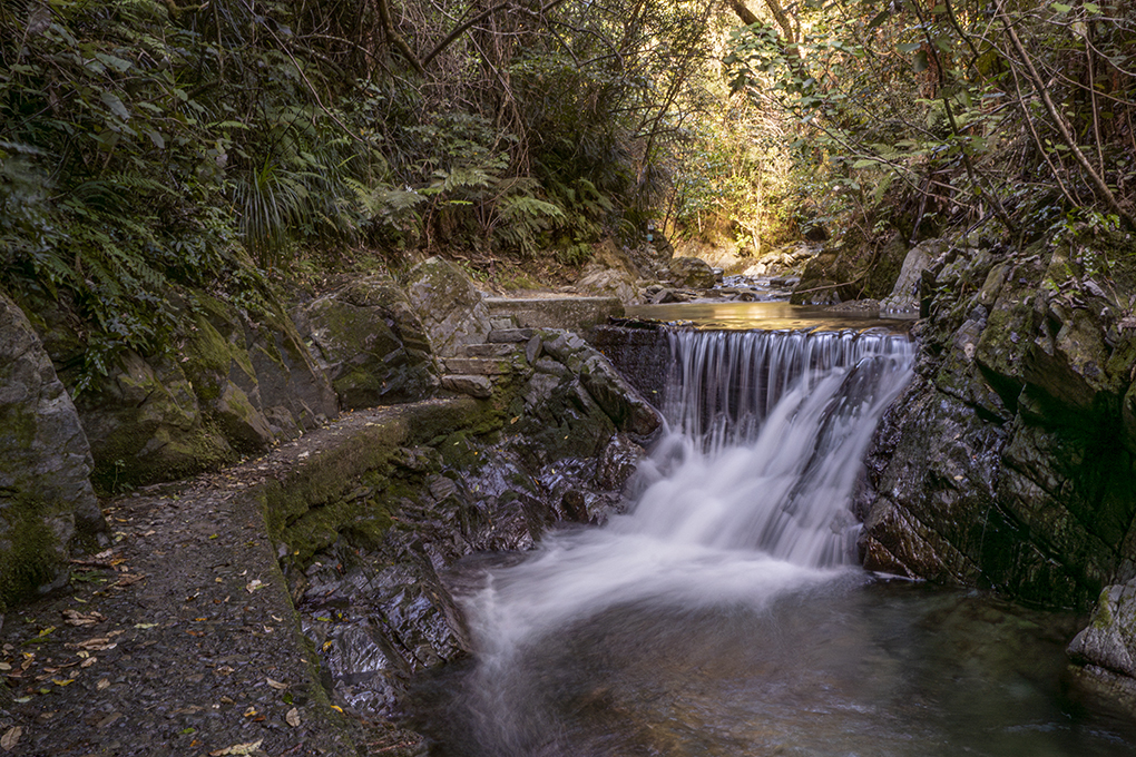 Stream Brook Sanctuary