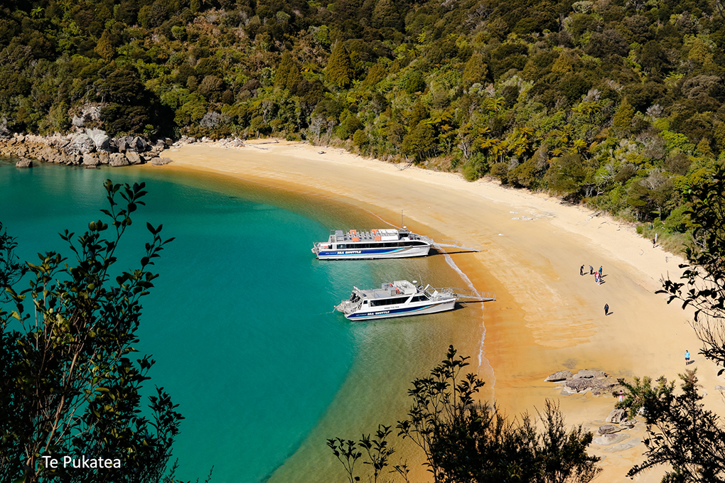 Abel Tasman