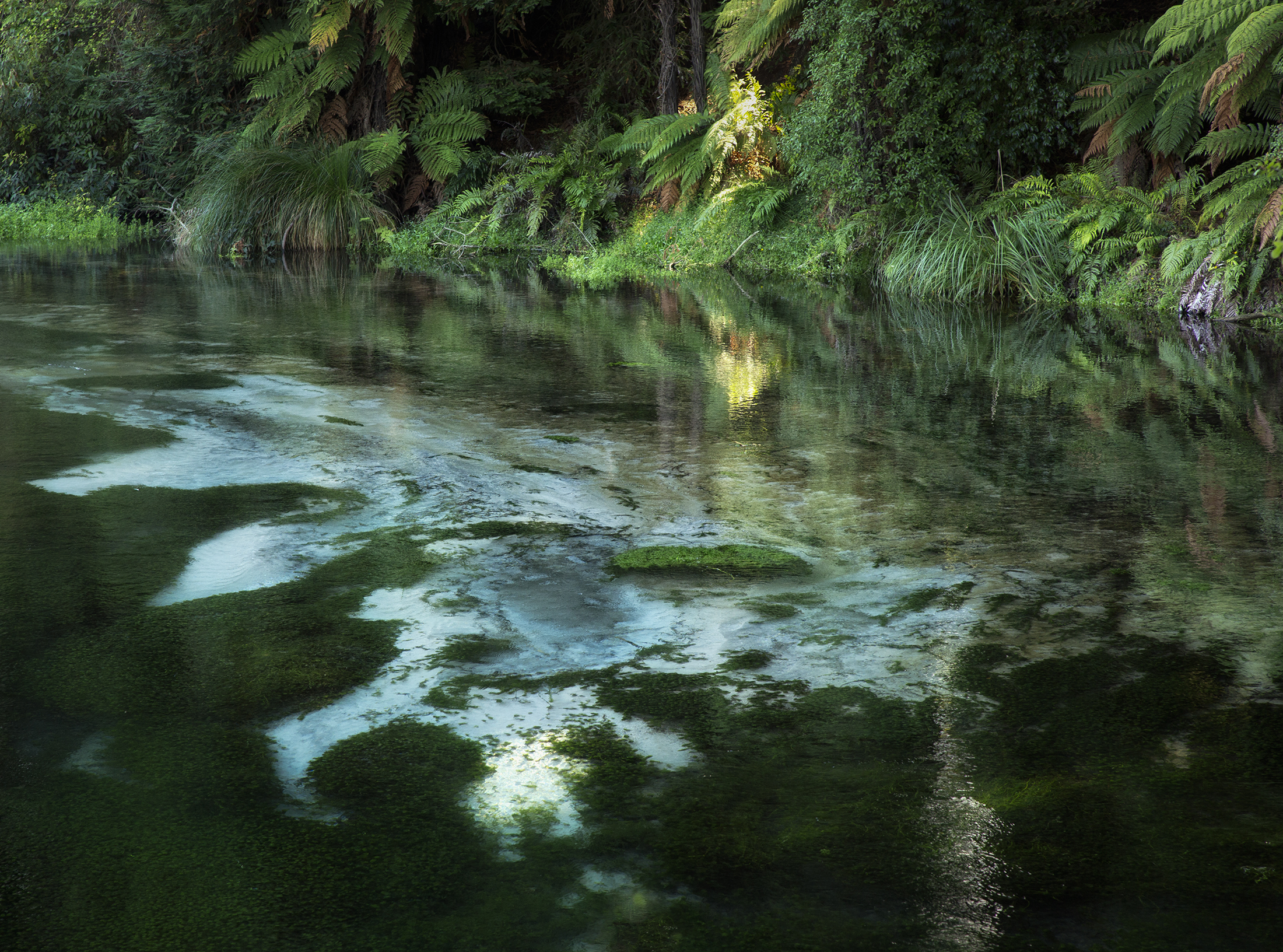 Hamurana Springs /Tarimano Marae