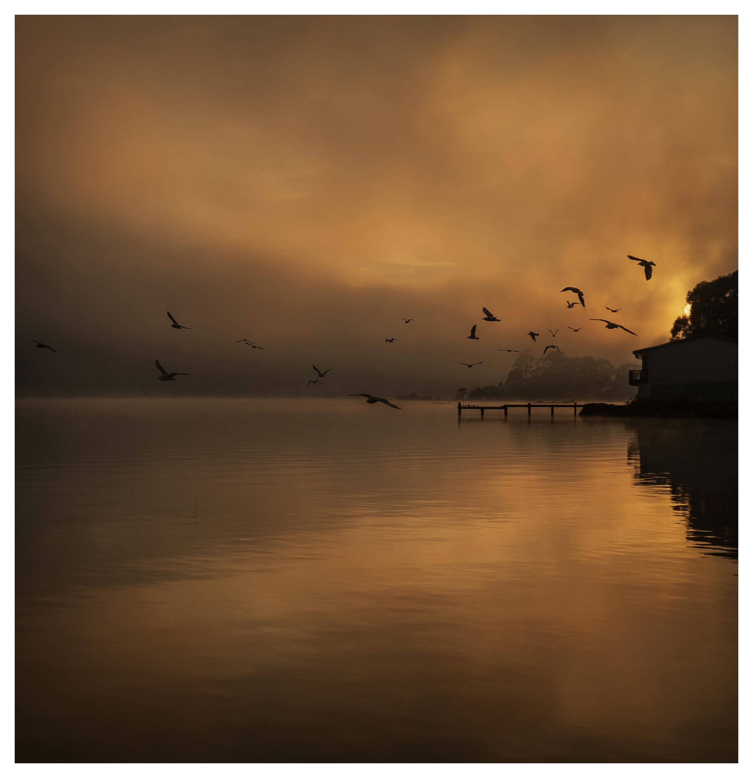 Rotorua lakefront at dawn