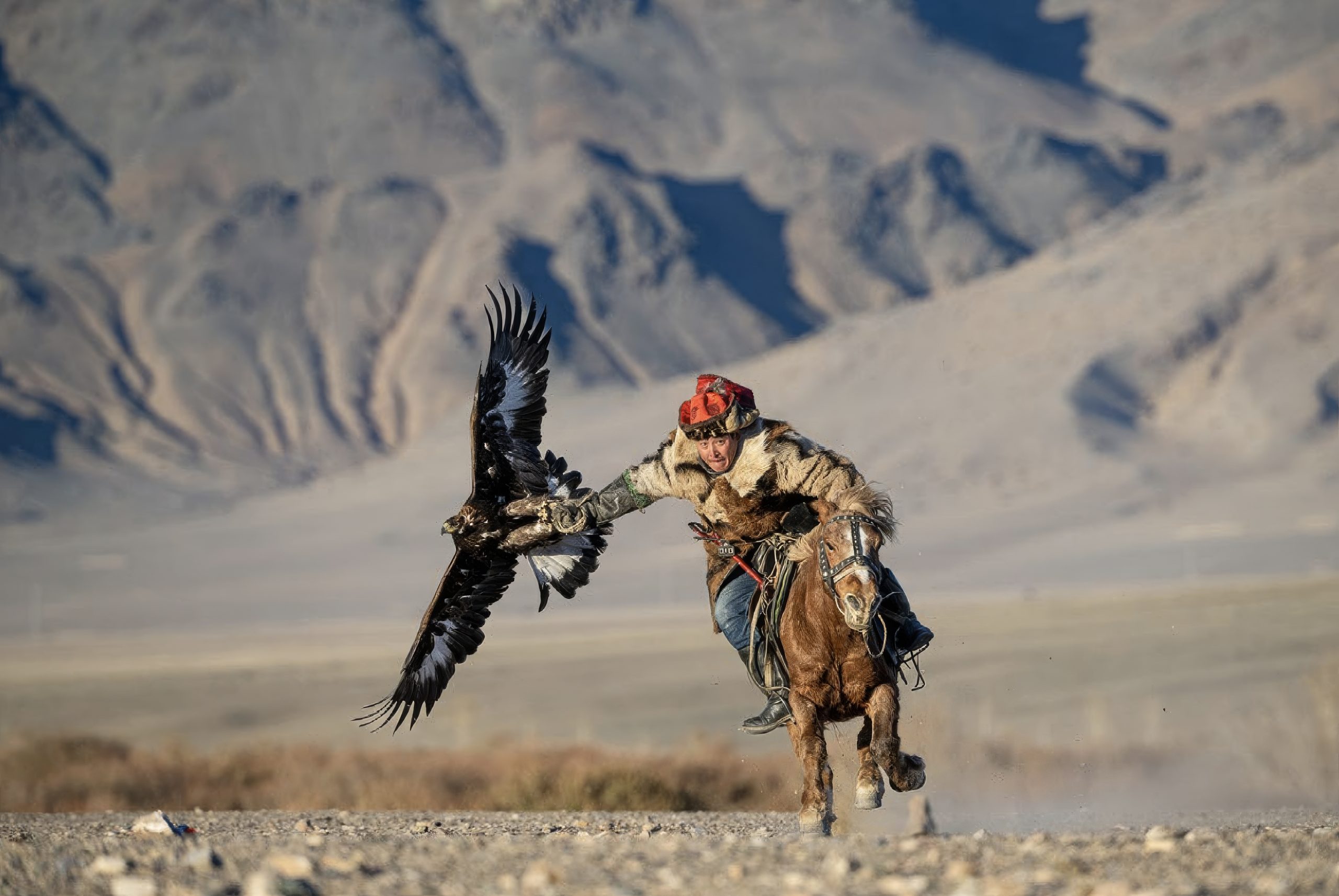 mongolia